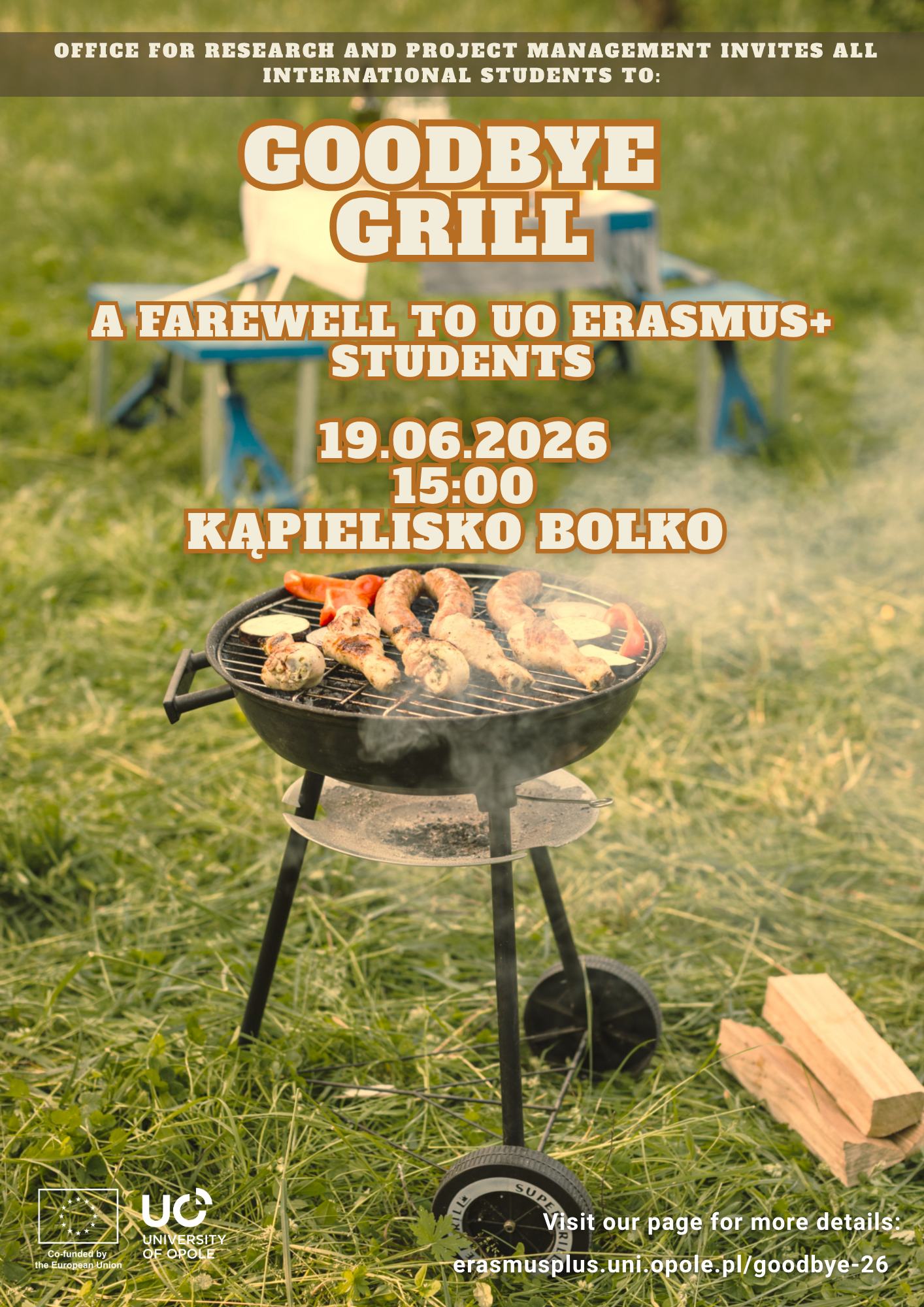 Goodbye grill (3)